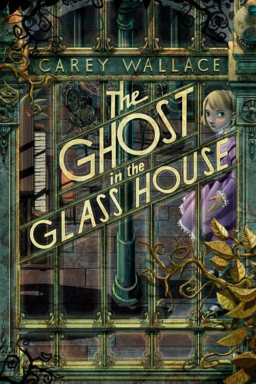 Book cover of The Ghost in the Glass House