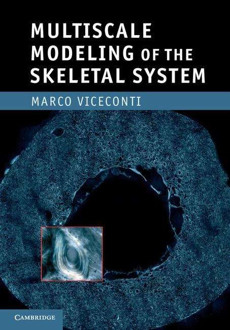 Book cover of Multiscale Modeling of the Skeletal System