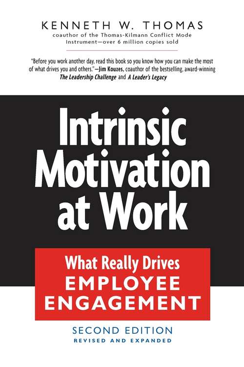 Book cover of Intrinsic Motivation at Work