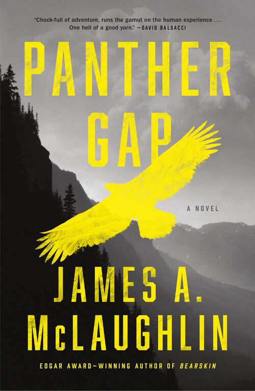Book cover of Panther Gap: A Novel
