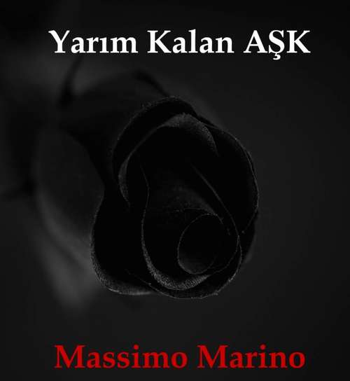 Book cover of Yarım Kalan Aşk