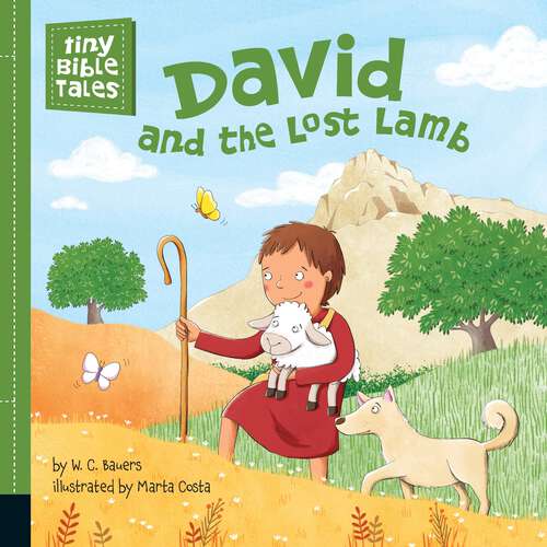 Book cover of David and the Lost Lamb (Tiny Bible Tales)