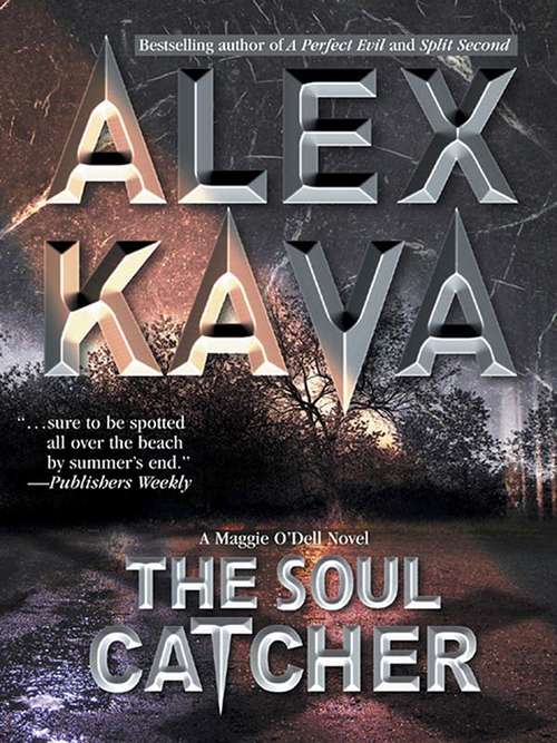 Book cover of The Soul Catcher