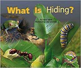 Book cover of What Is Hiding? (Into Reading, Level J #10)