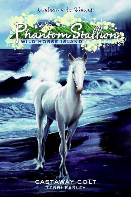 Book cover of Phantom Stallion: Castaway Colt