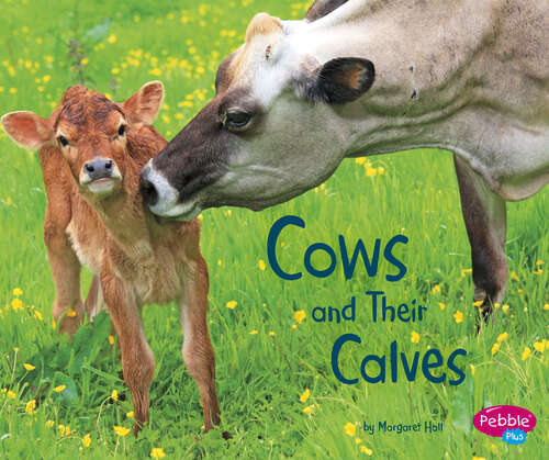 Book cover of Cows and Their Calves: A 4d Book (Animal Offspring Ser.)