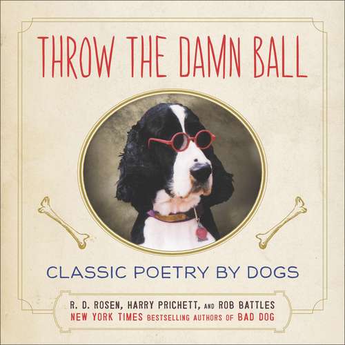 Book cover of Throw the Damn Ball