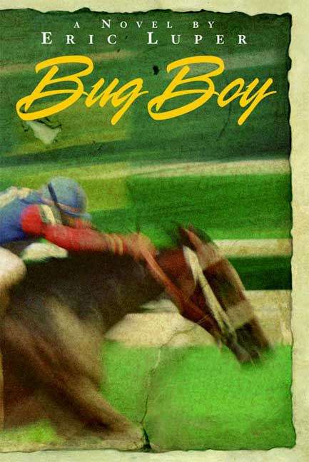 Book cover of Bug Boy