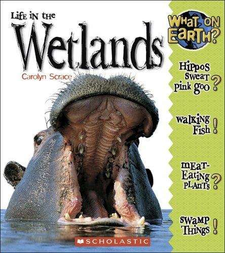 Book cover of Life in the Wetlands (What on Earth)