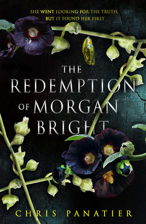 Book cover of The Redemption of Morgan Bright
