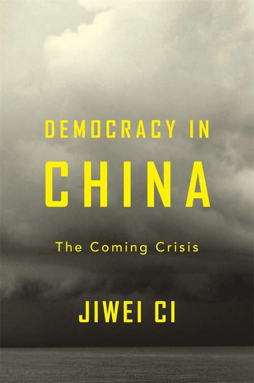 Book cover of Democracy in China: The Coming Crisis