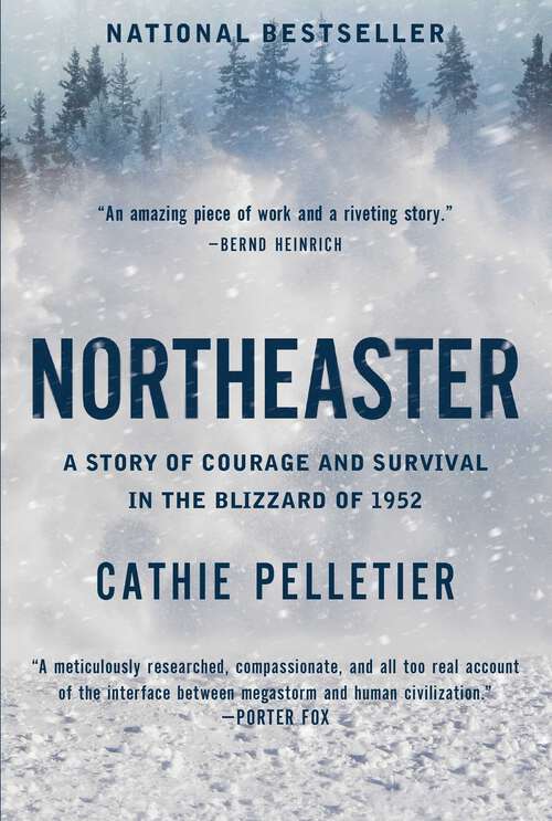Book cover of Northeaster: A Story of Courage and Survival in the Blizzard of 1952