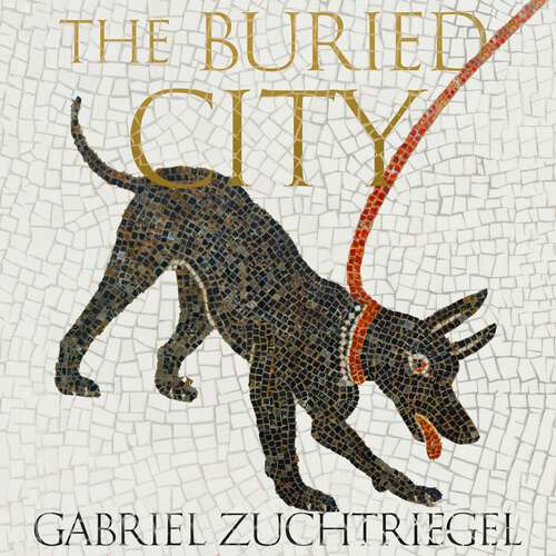 Book cover of The Buried City: Unearthing the Real Pompeii