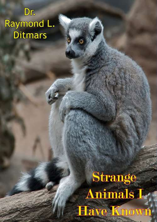 Book cover of Strange Animals I Have Known