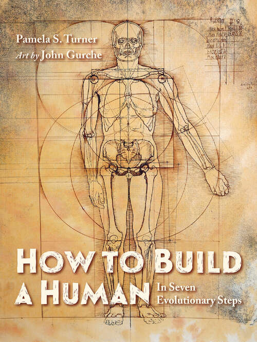 Book cover of How to Build a Human: In Seven Evolutionary Steps
