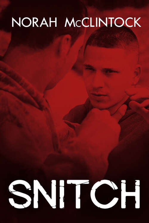 Book cover of Snitch