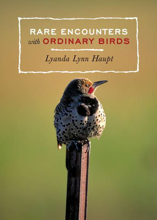 Book cover of Rare Encounters with Ordinary Birds
