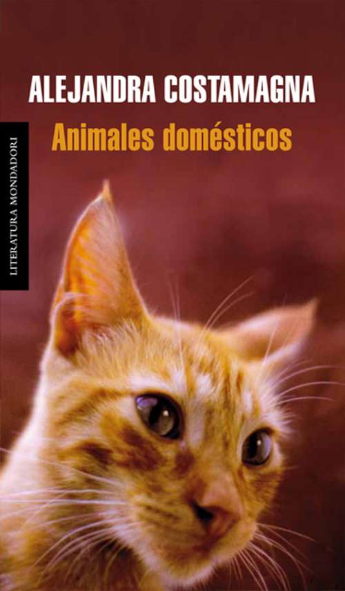 Book cover of Animales domésticos
