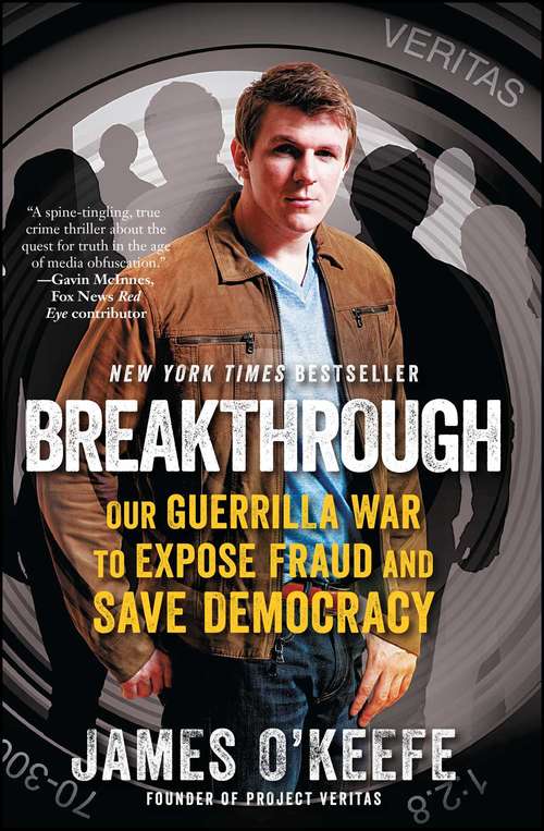 Book cover of Breakthrough: Our Guerilla War to Expose Fraud and Save Democracy