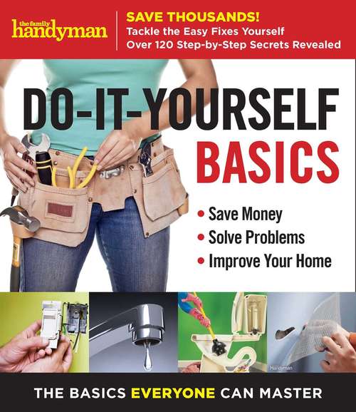Book cover of Family Handyman Do-It-Yourself Basics