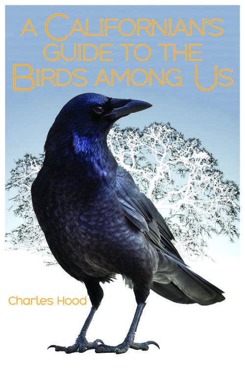 Book cover of A Californian’s Guide to the Birds among Us