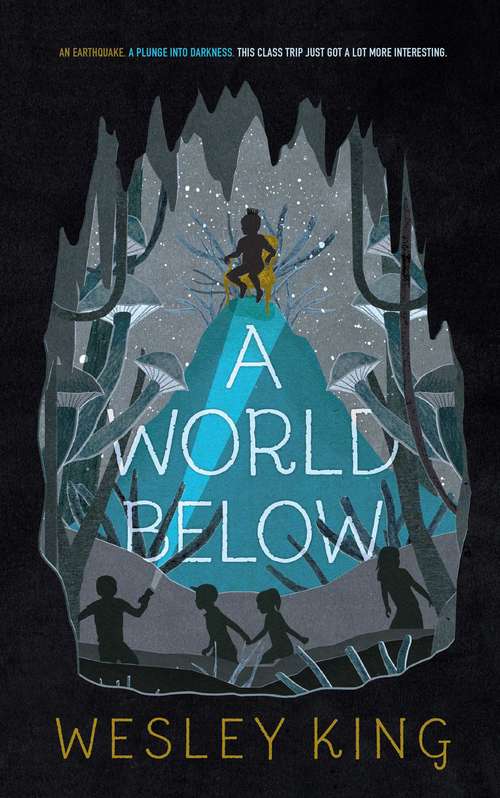 Book cover of A World Below
