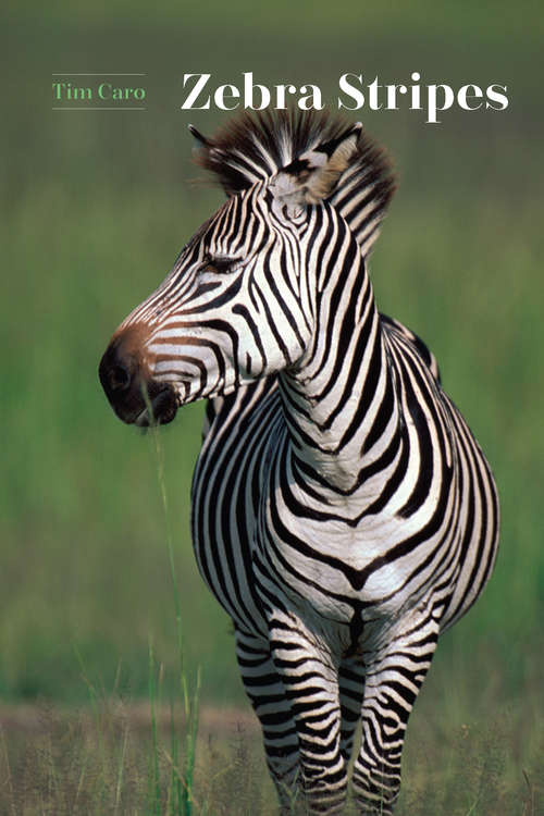 Book cover of Zebra Stripes