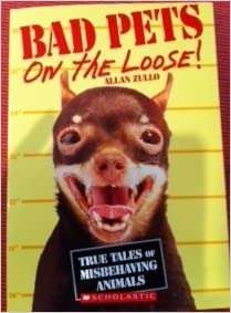 Book cover of Bad Pets: On the Loose!