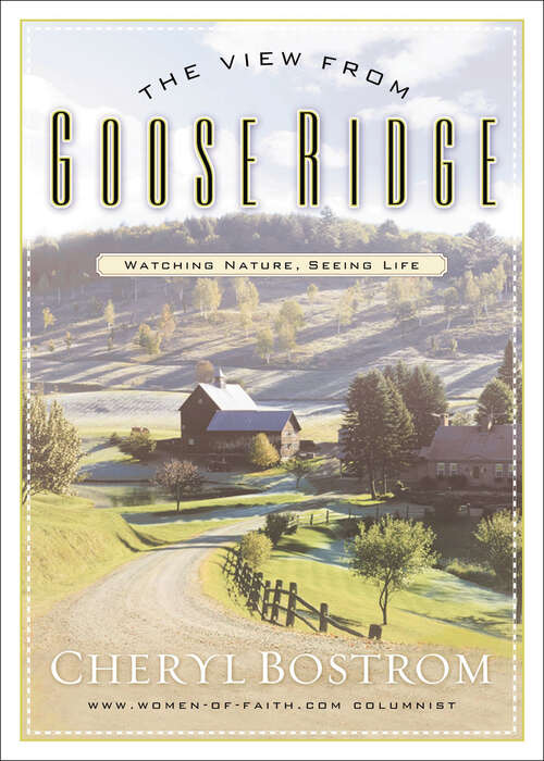 Book cover of The View from Goose Ridge