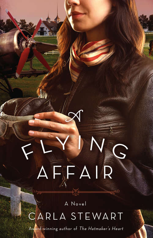 Book cover of A Flying Affair