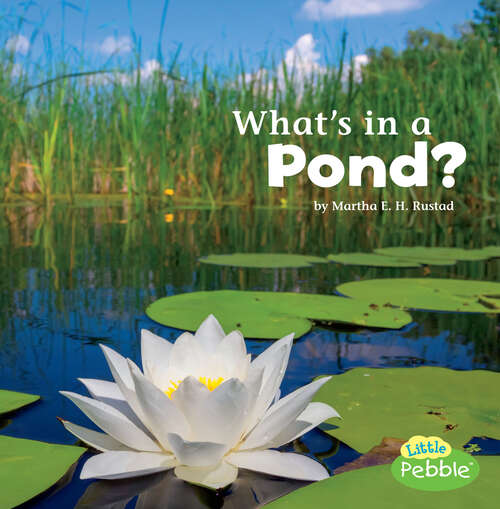 Book cover of What's in a Pond? (What's In There? Ser.)