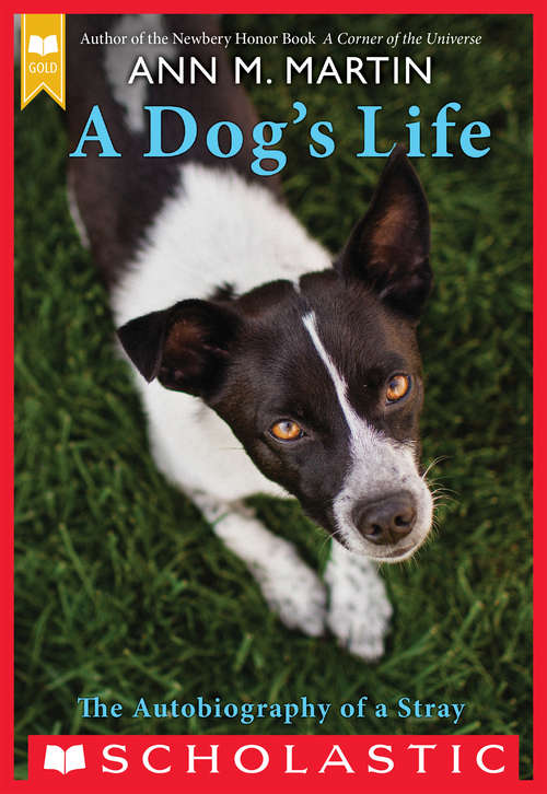 A Dog's Life: The Autobiography Of A Stray