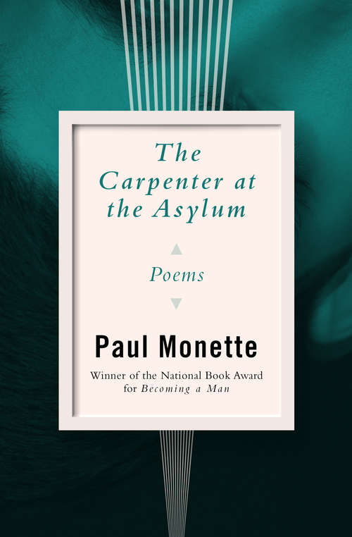 Book cover of The Carpenter at the Asylum