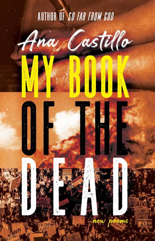 Book cover of My Book of the Dead: New Poems