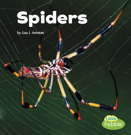 Book cover of Spiders (Little Critters Ser.)
