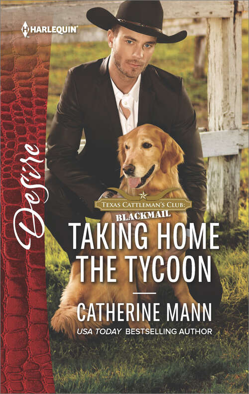 Book cover of Taking Home the Tycoon
