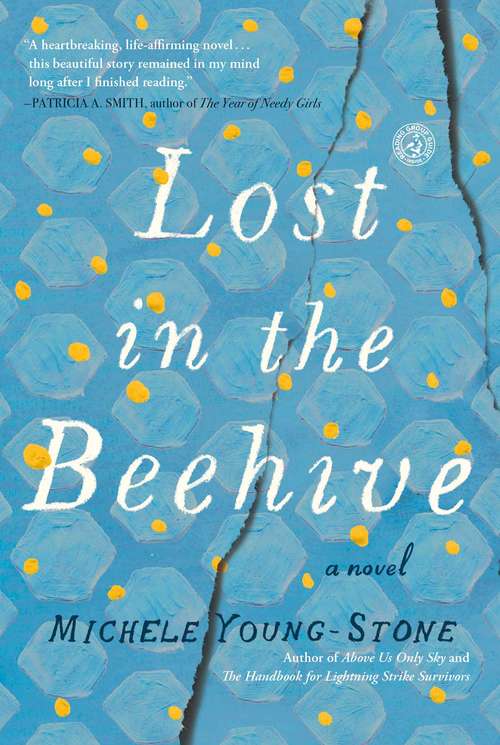Book cover of Lost in the Beehive: A Novel