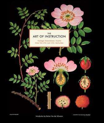 Book cover of The Art of Instruction