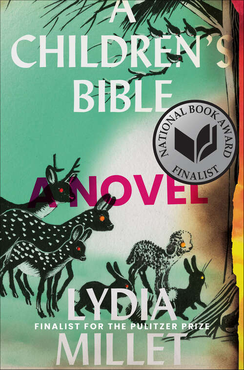 Book cover of A Children's Bible: A Novel