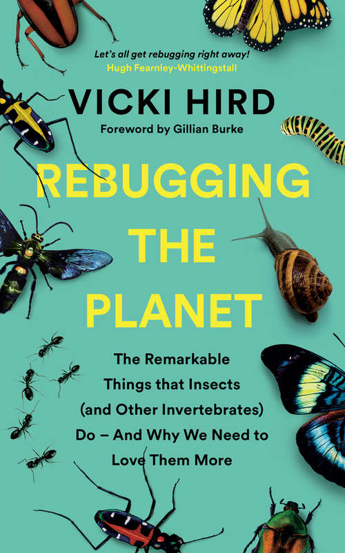 Book cover of Rebugging the Planet: The Remarkable Things that Insects (and Other Invertebrates) Do – And Why We Need to Love Them More