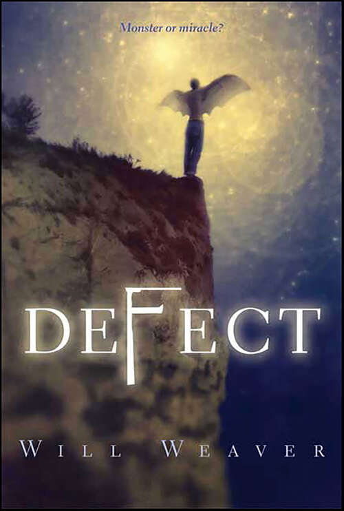 Book cover of Defect