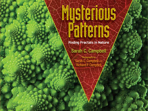 Book cover of Mysterious Patterns: Finding Fractals in Nature