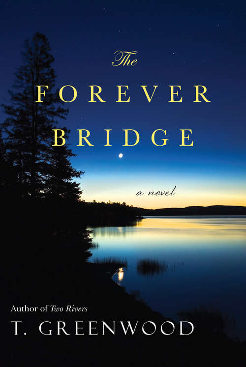 Book cover of The Forever Bridge