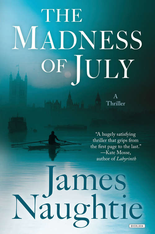 Book cover of The Madness of July: A Thriller