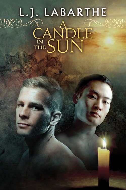 Book cover of A Candle in the Sun
