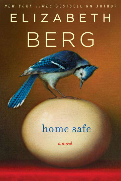 Book cover of Home Safe: A Novel