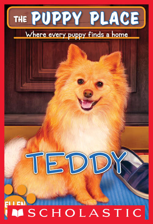 Book cover of The Puppy Place #28: Teddy