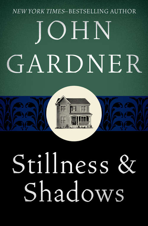 Book cover of Stillness and Shadows