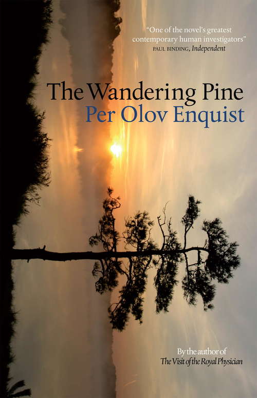 Book cover of The Wandering Pine: Life as a Novel