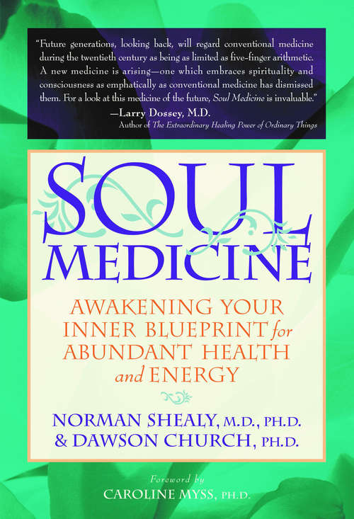 Book cover of Soul Medicine: Awakening Your Inner Blueprint For Abundant Health And Energy (2)